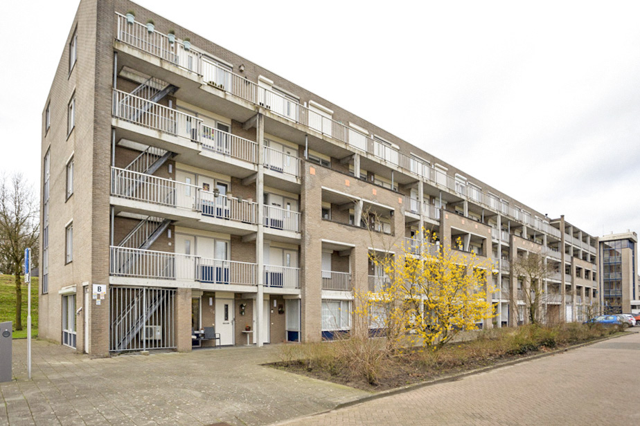 Houtwolplantsoen 154