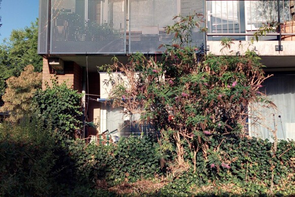 Wisentstraat 82