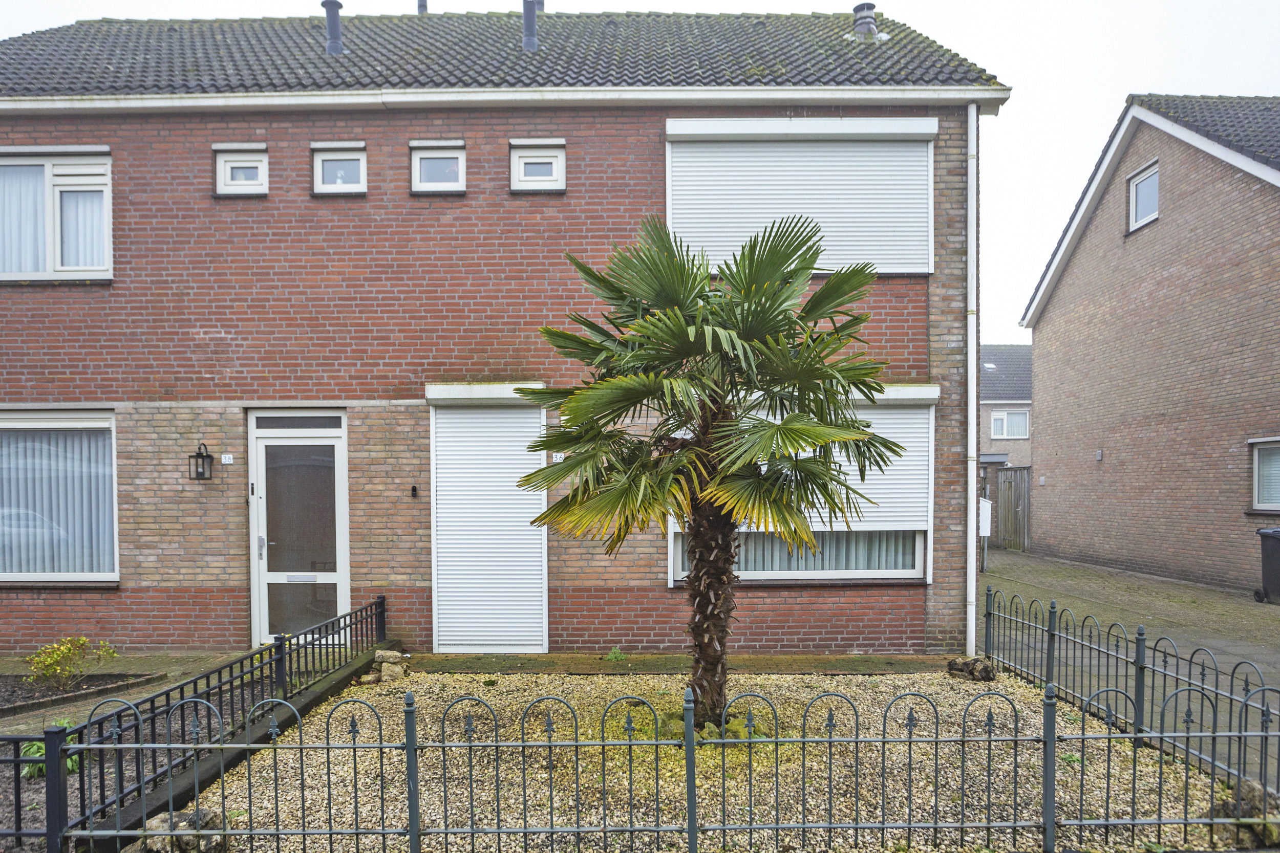 Patrijzendonk , 4711 LB Sint Willebrord, Nederland