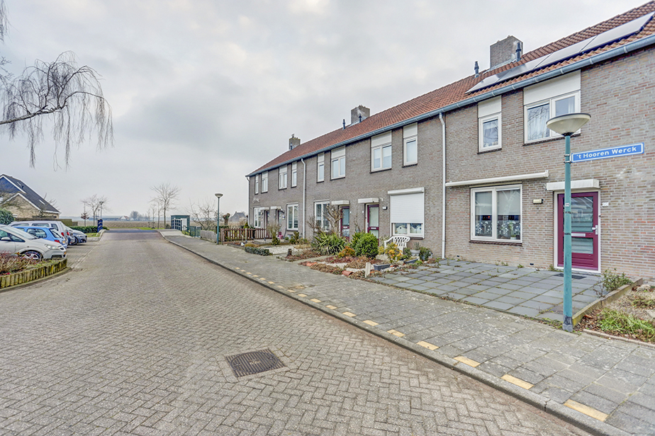 't Hooren Werck 50