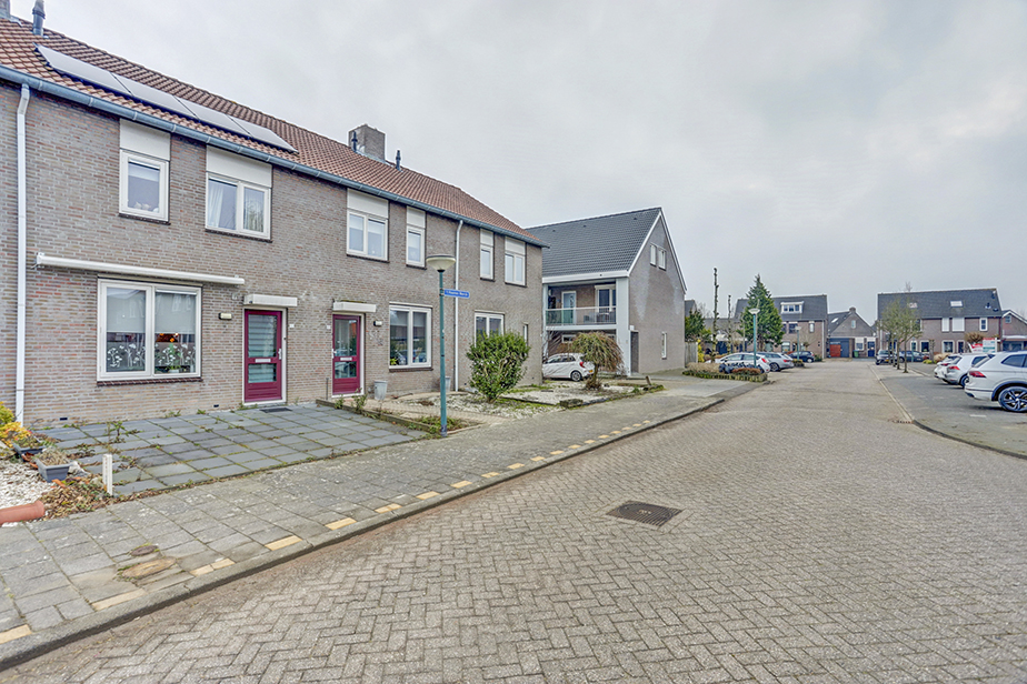 't Hooren Werck 50