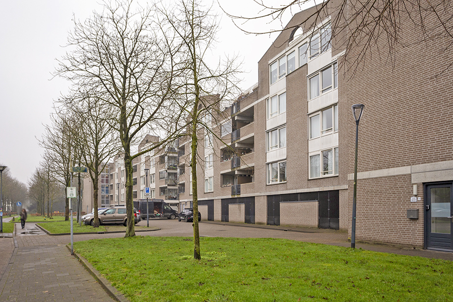 De Braak 234