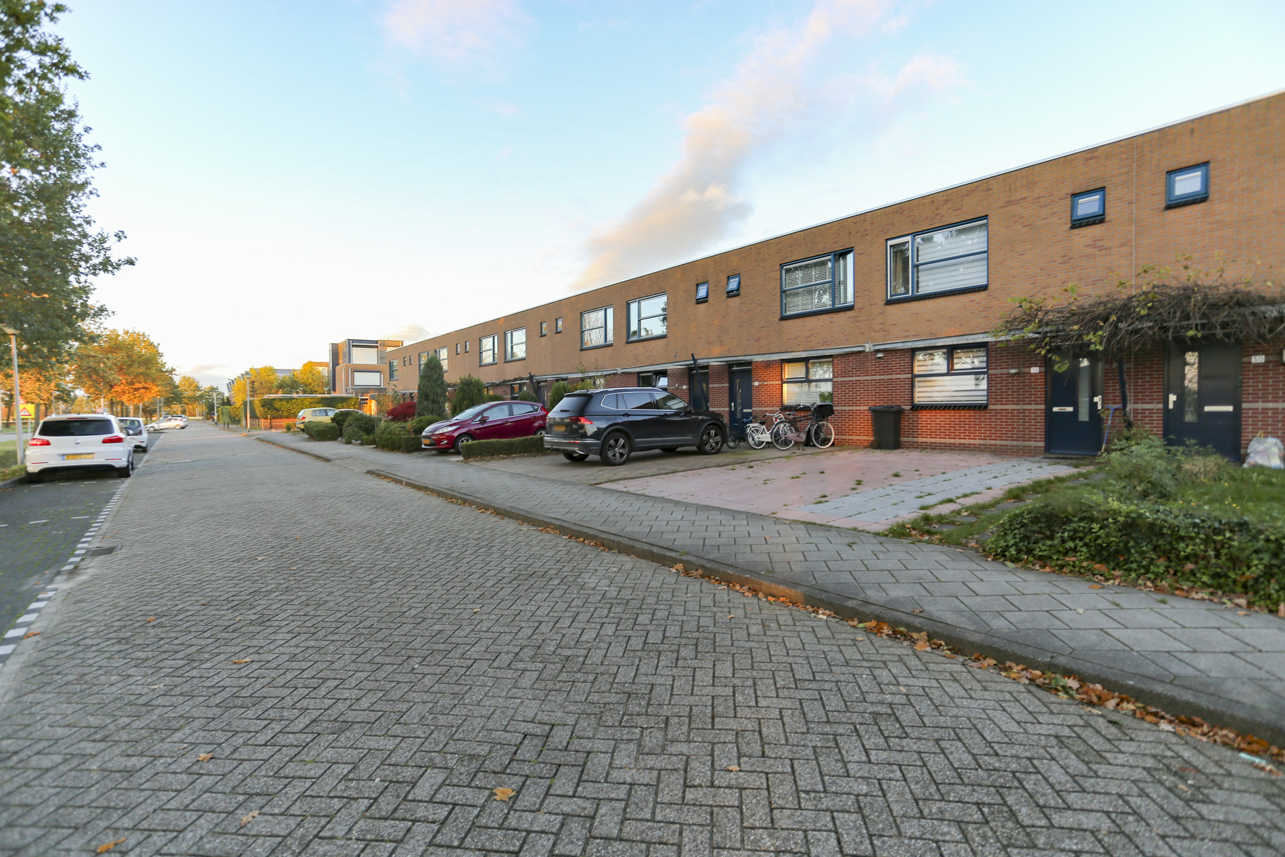 Rijsdijk 54