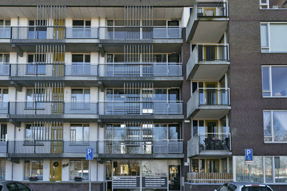 Argusvlinder 216