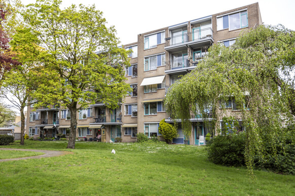 Nieuwe Heilaarstraat 122