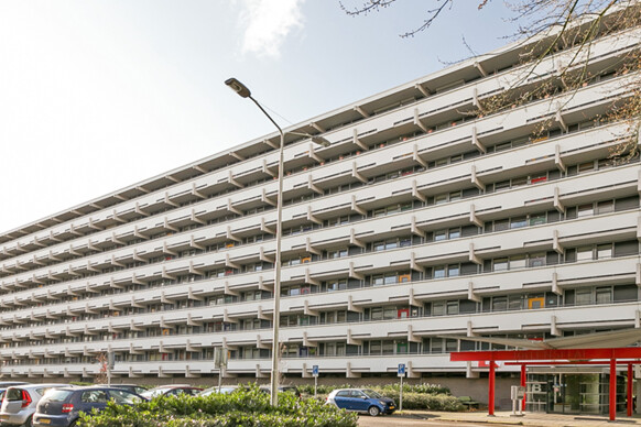 Tollensflat 41