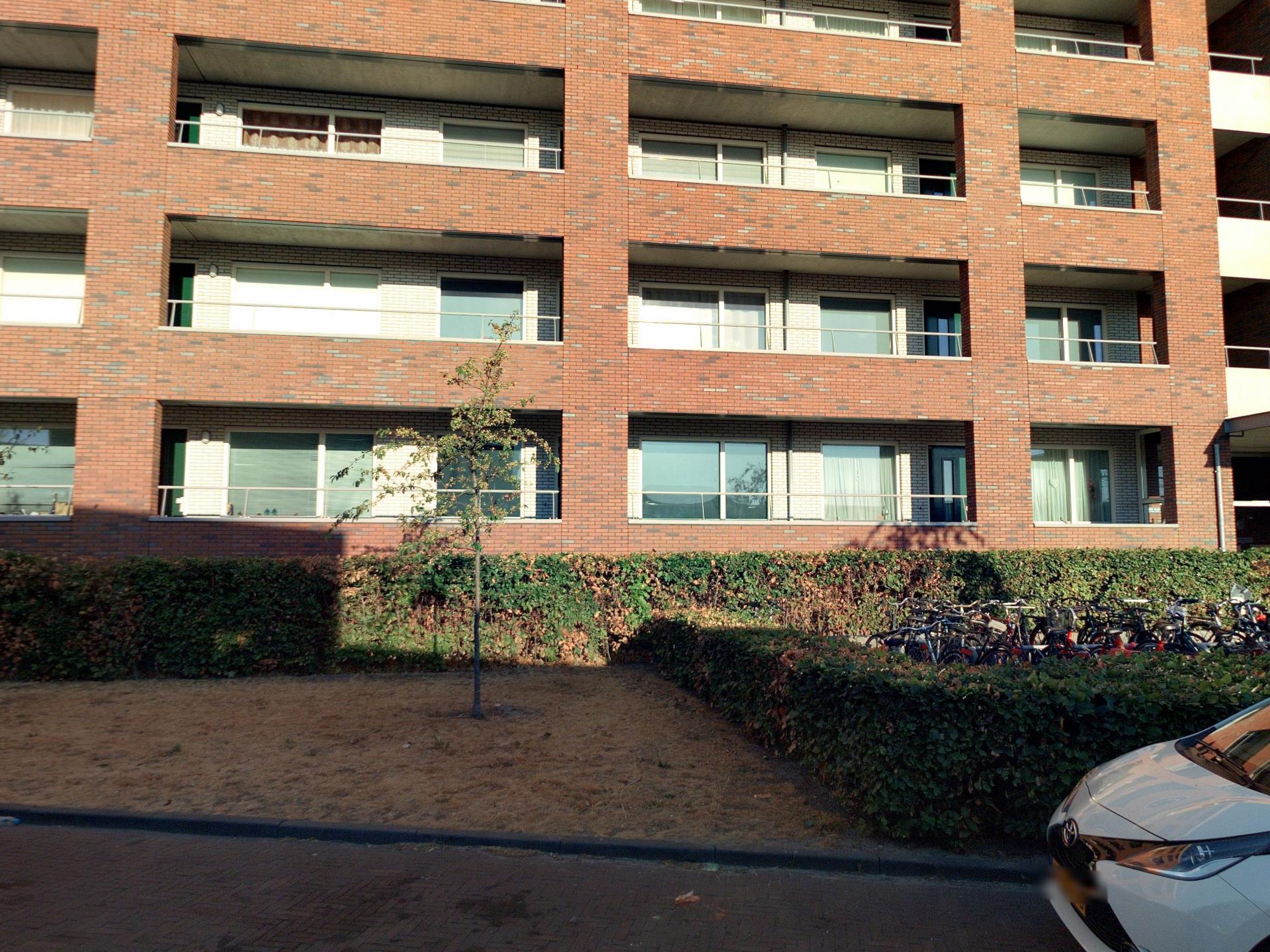 Brouwmeesterstraat 49, 4811 DM Breda, Nederland