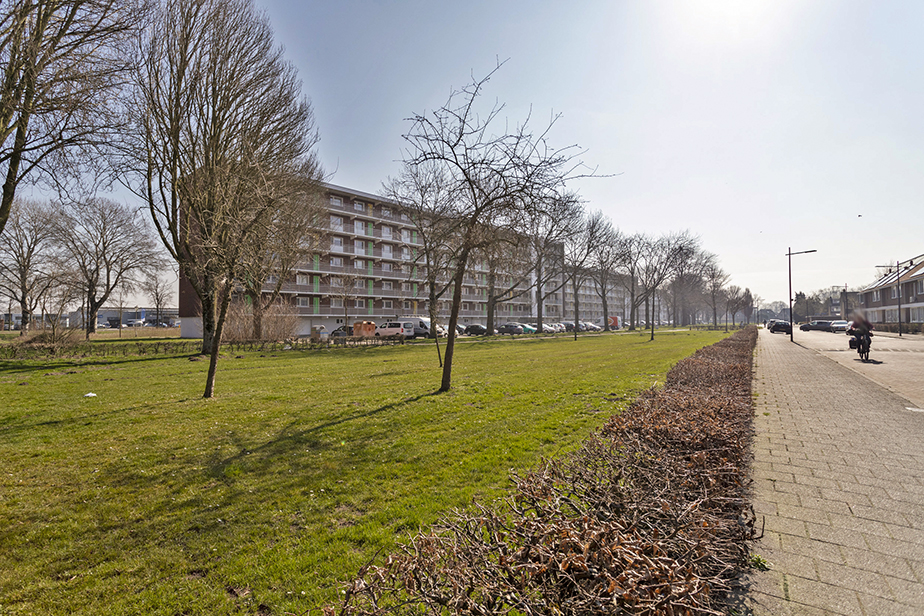 Daniël Marotstraat 174