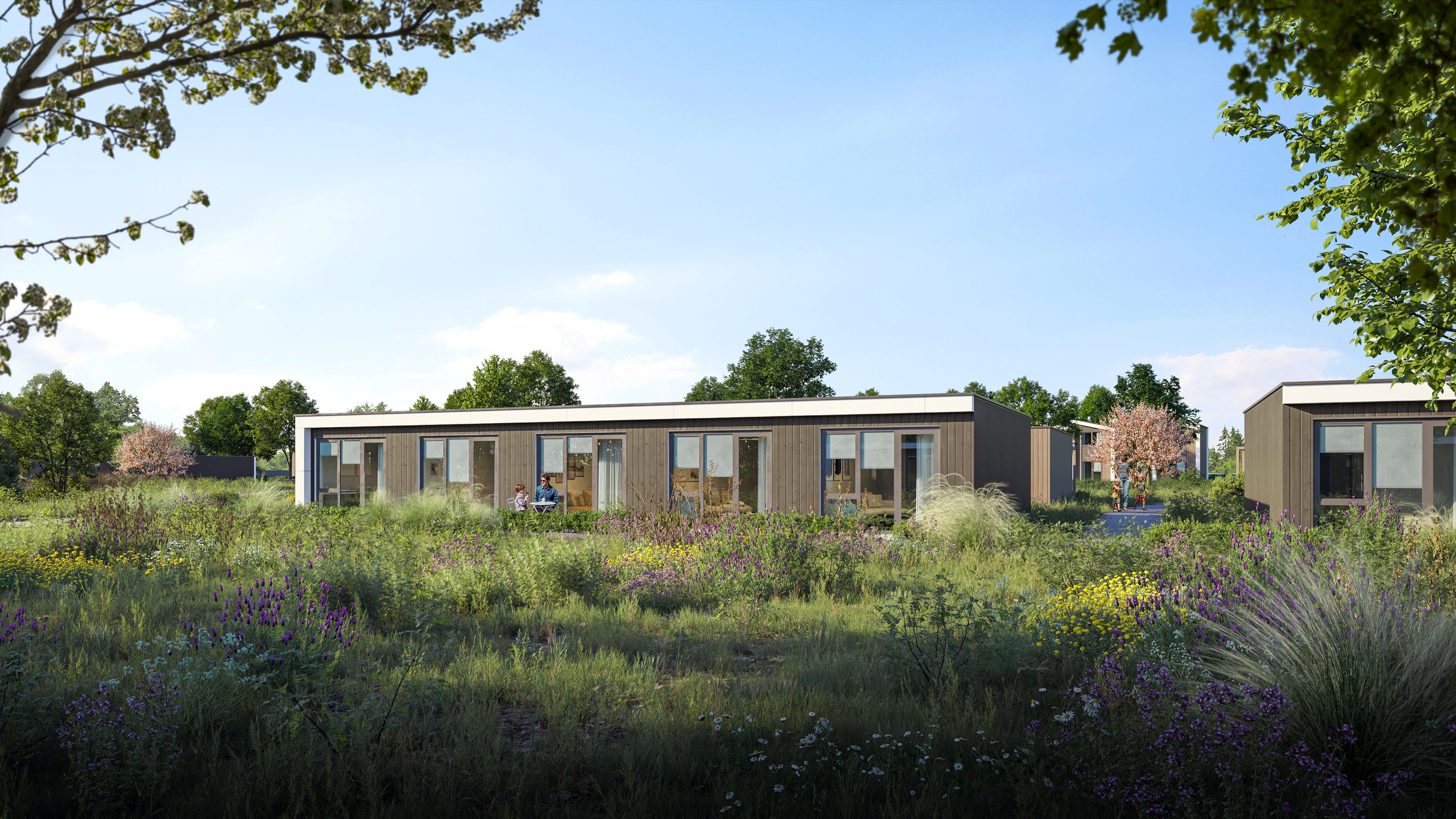 Veldbloemenhof 67, 4874 LA Etten-Leur, Nederland