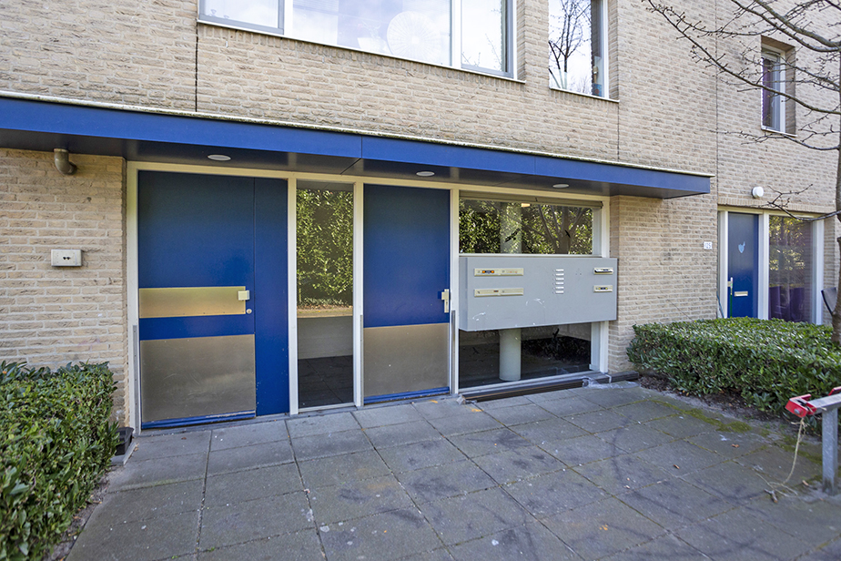 Pieter Stastokstraat 121