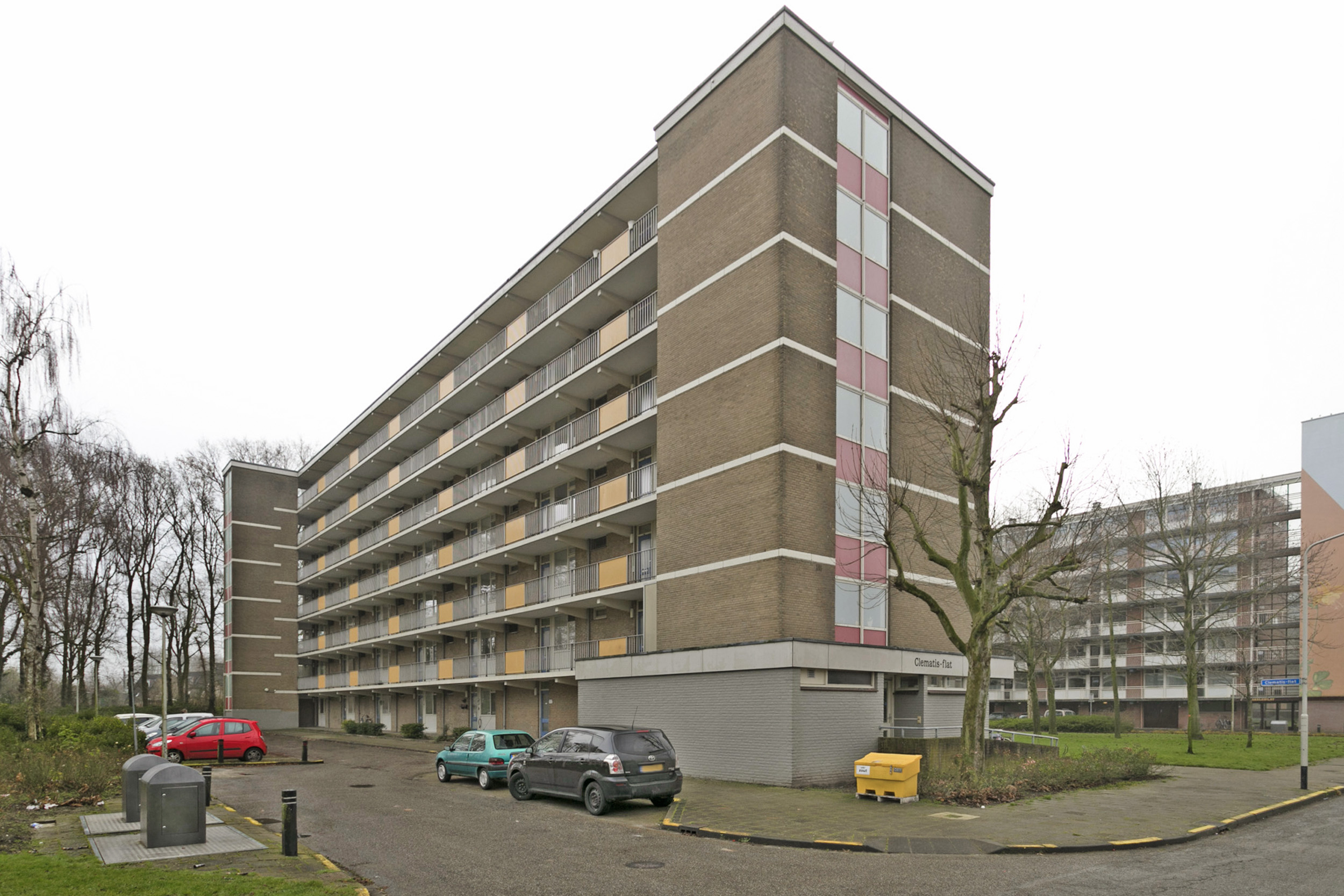 Clematisflat 37