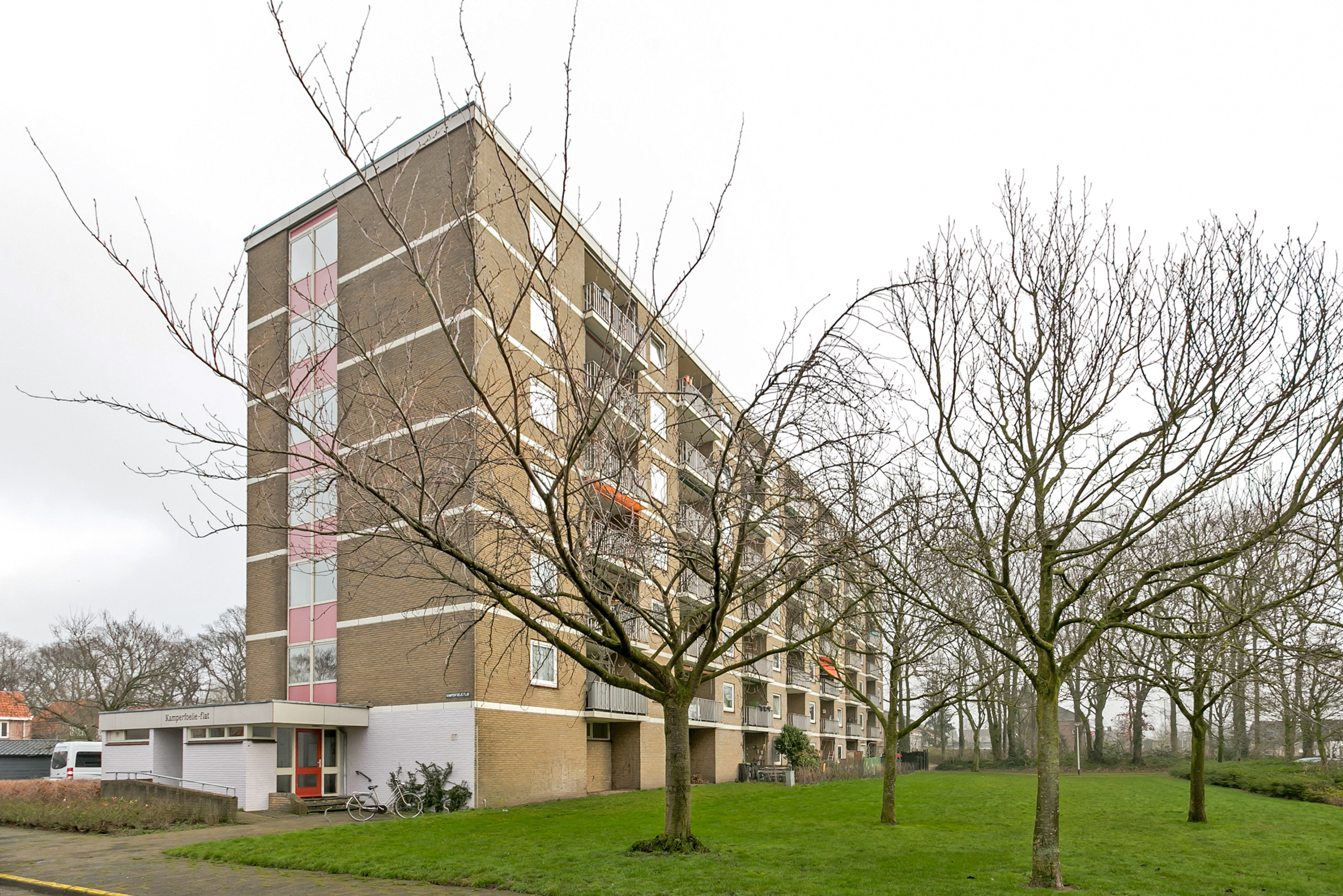 Kamperfoelieflat 43
