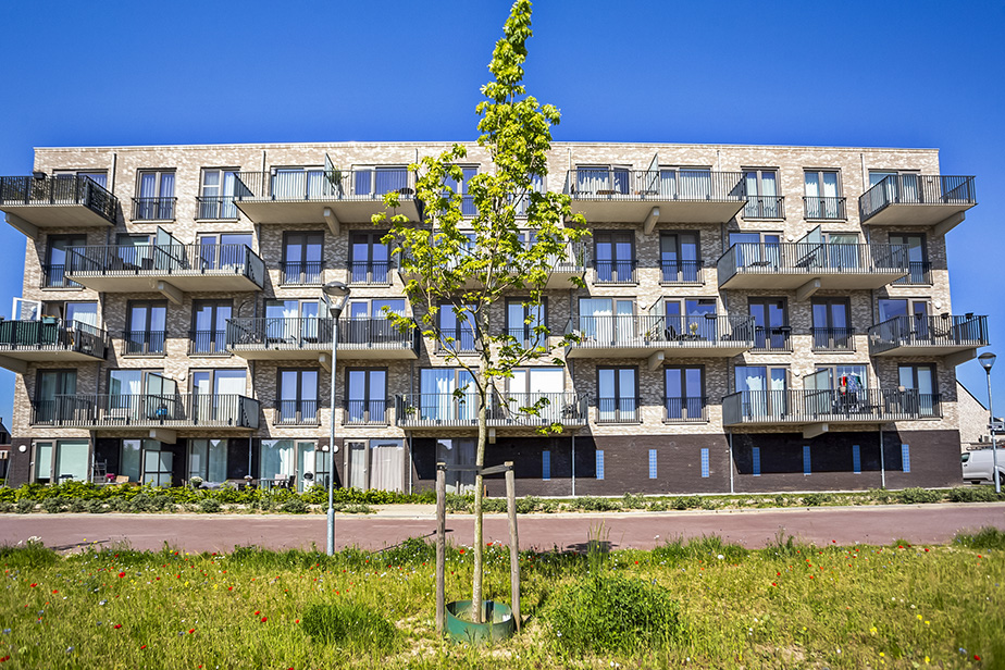 Parelmoer 44, 4762 CT Zevenbergen, Nederland