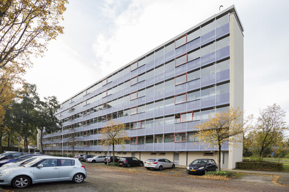 Bergschot 100