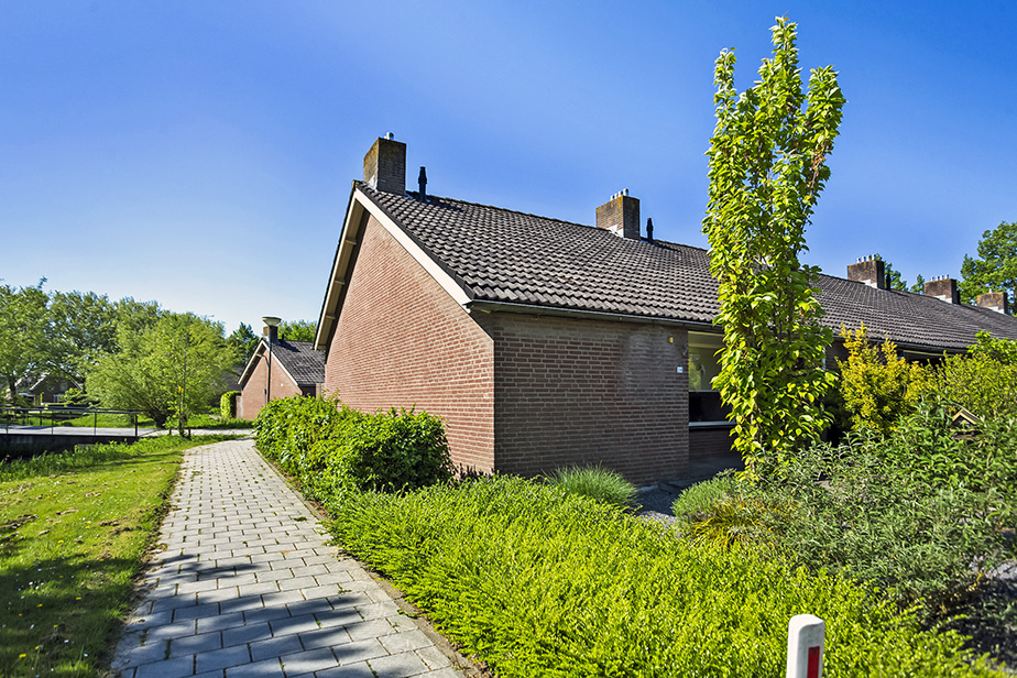 't Hooft 24
