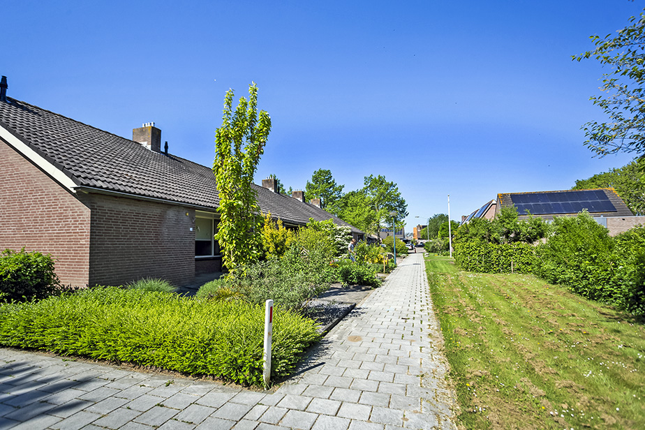 't Hooft 24