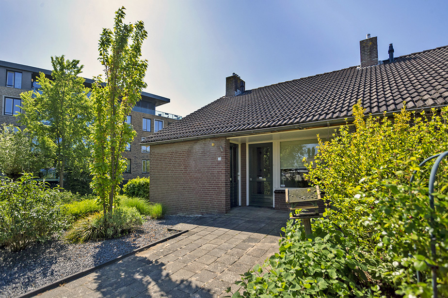 't Hooft 24