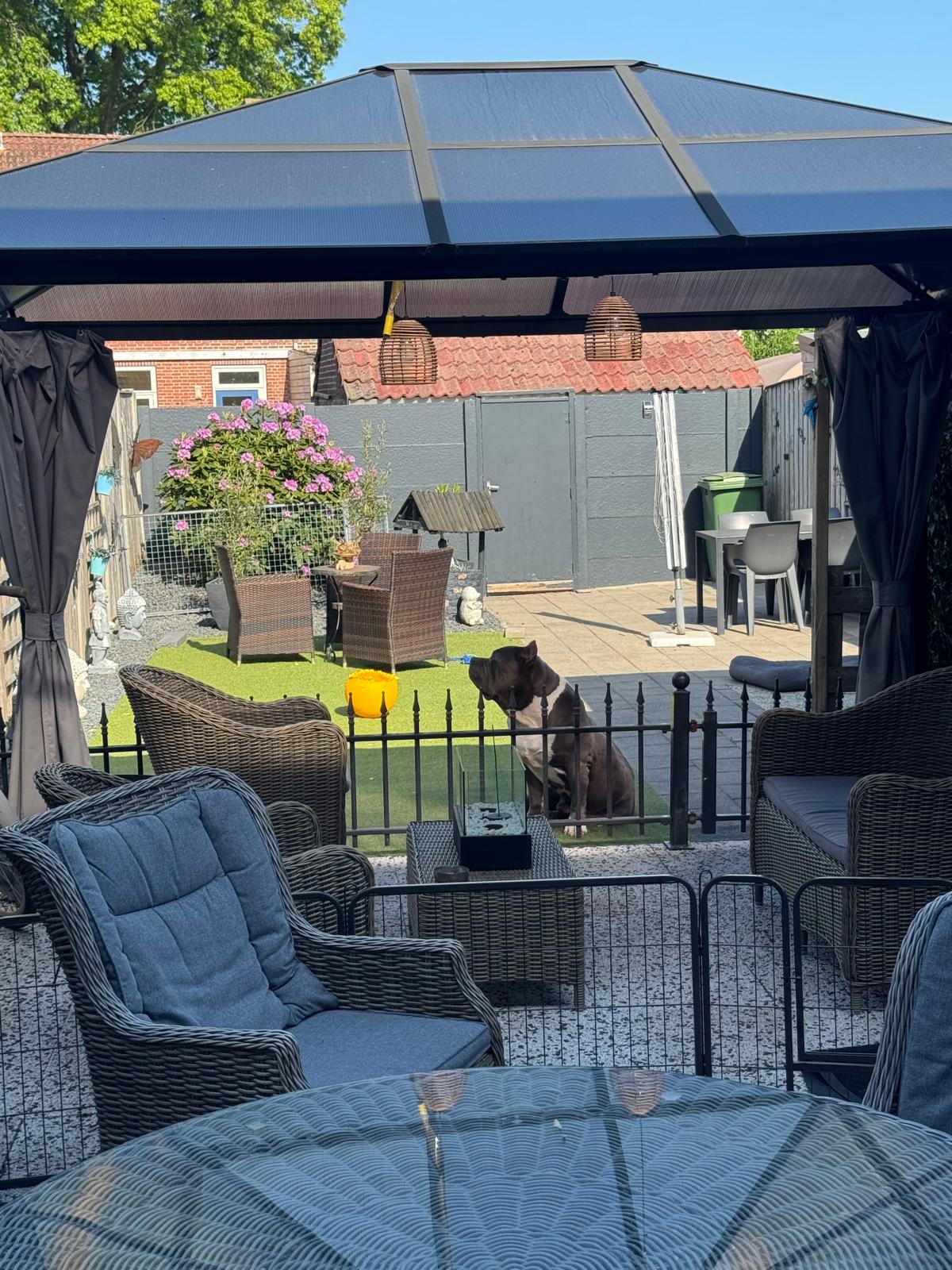 Schimmelpenninckstraat 37