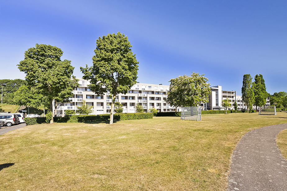 Houtwolplantsoen 134