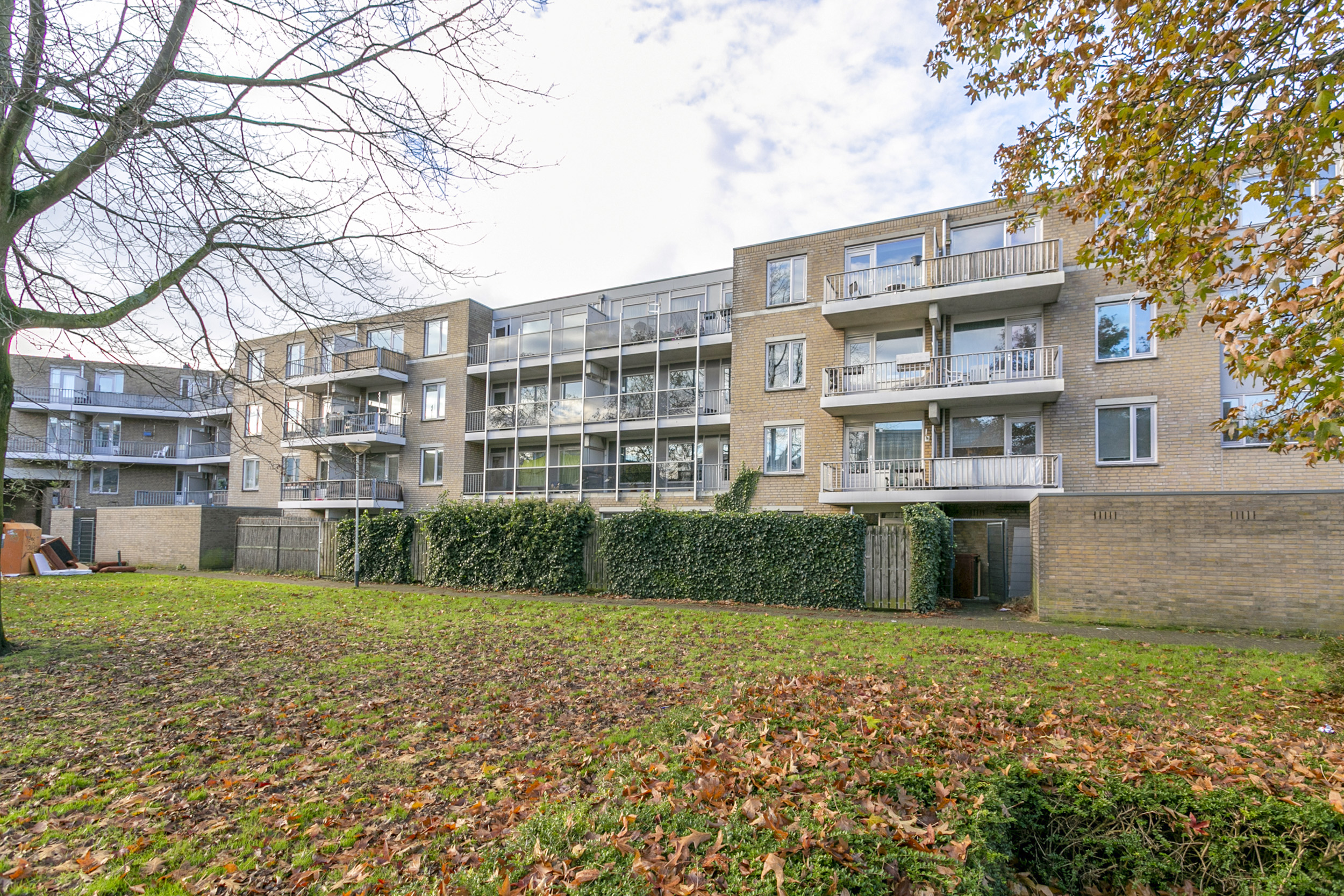 Adriaan van Bergenstraat 197, 4811 SV Breda, Nederland