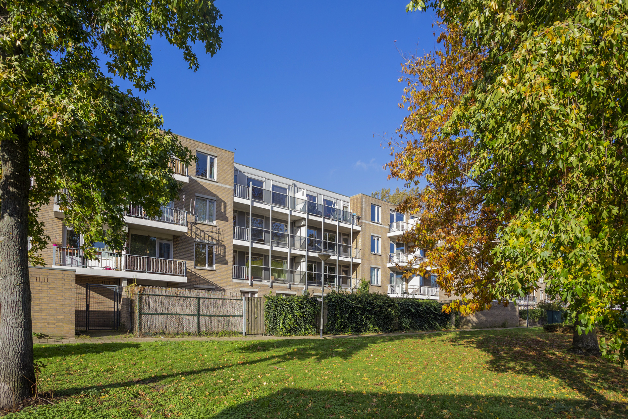 Adriaan van Bergenstraat 197