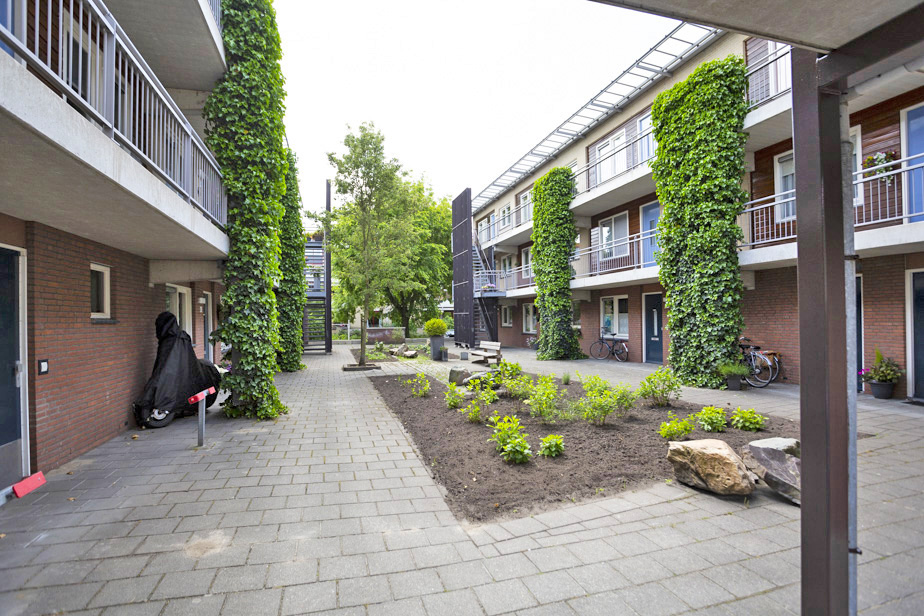 Wisentstraat 58, 4817 LZ Breda, Nederland