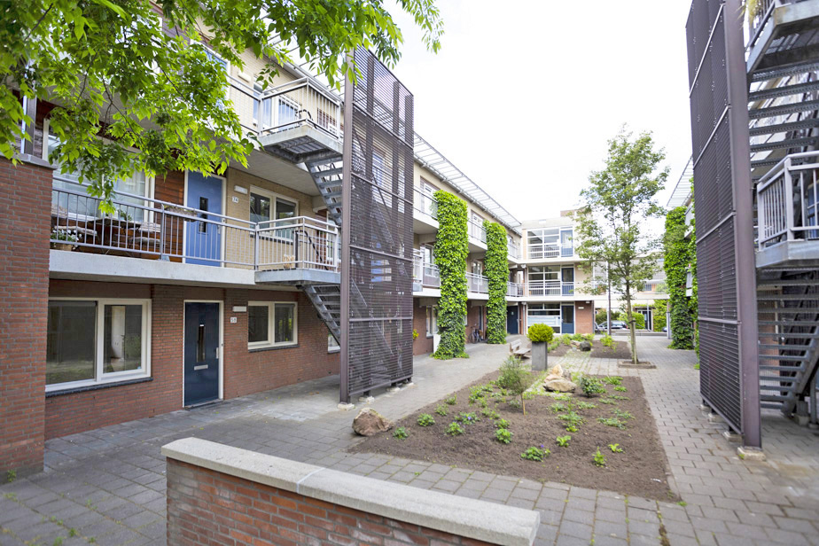 Wisentstraat 58