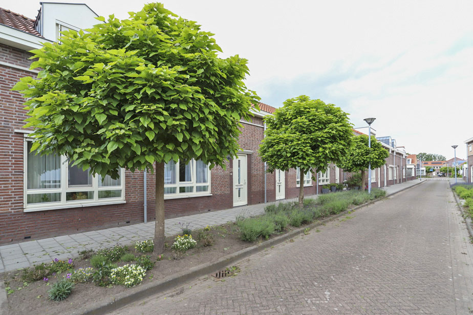 Churchillstraat 31