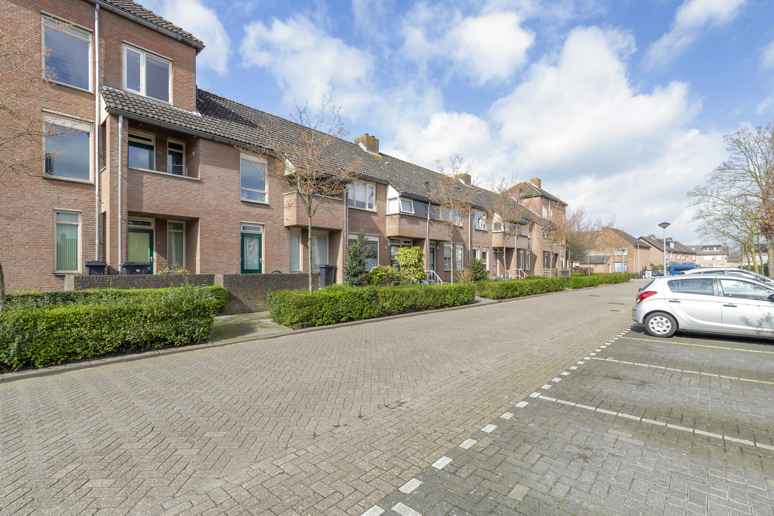 Roerdomp 149