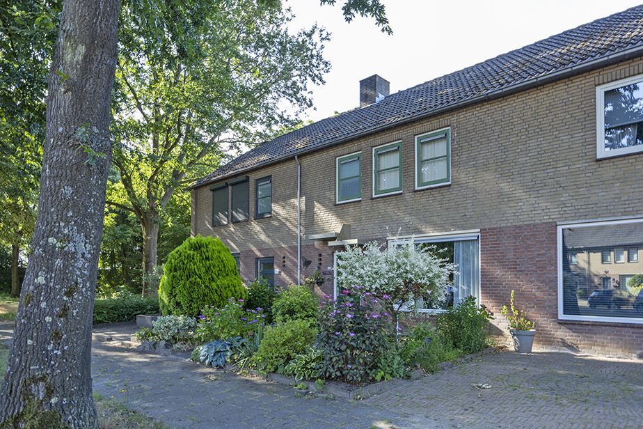 Hertogshoef 226