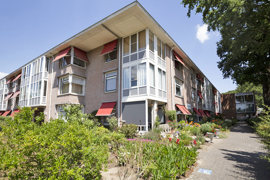 Zilverwiek 11