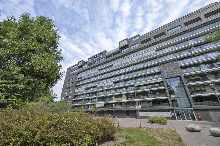 Zorgvlietstraat 475, 4834 NA Breda, Nederland