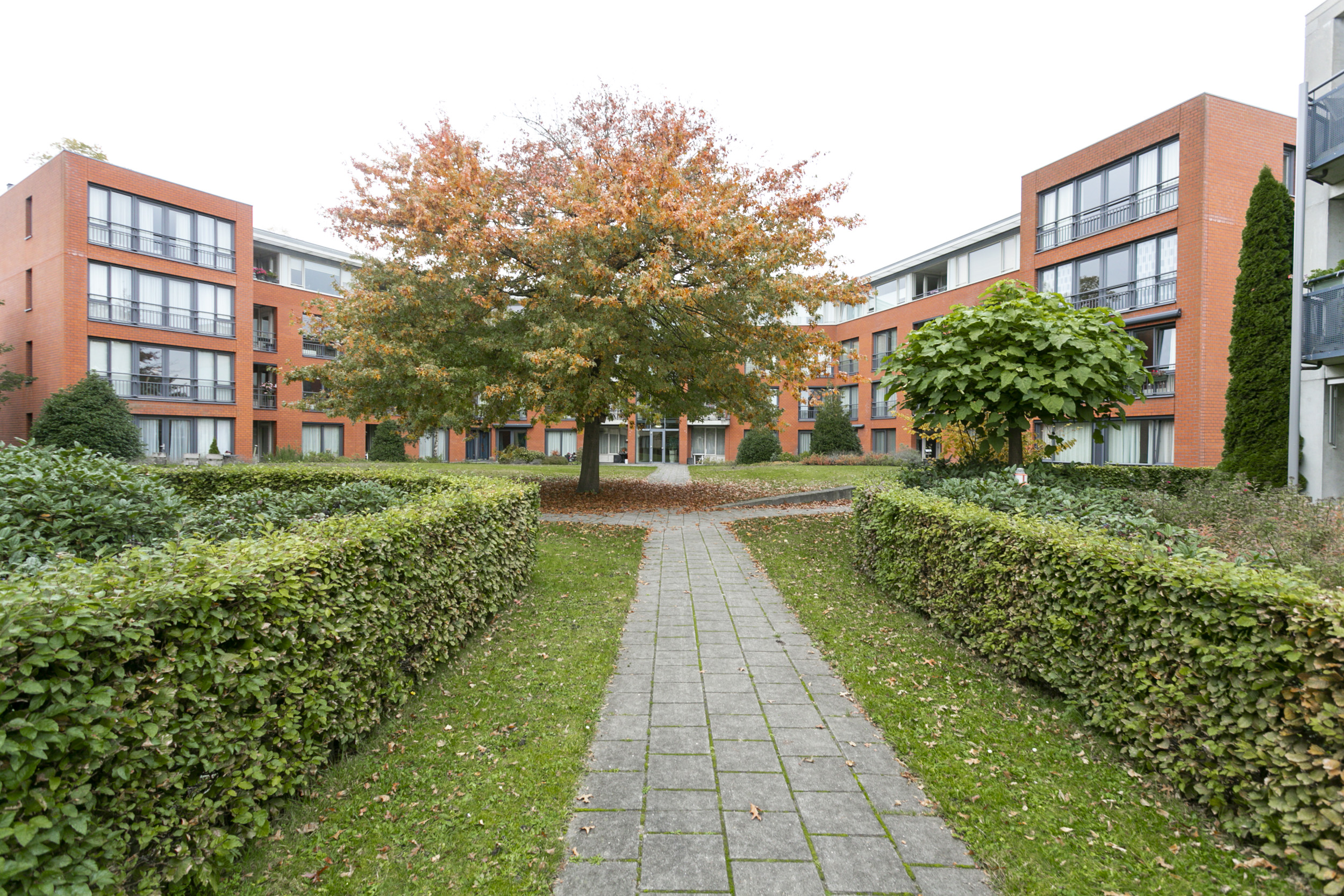 Damiaanstraat 49B, 4834 WB Breda, Nederland