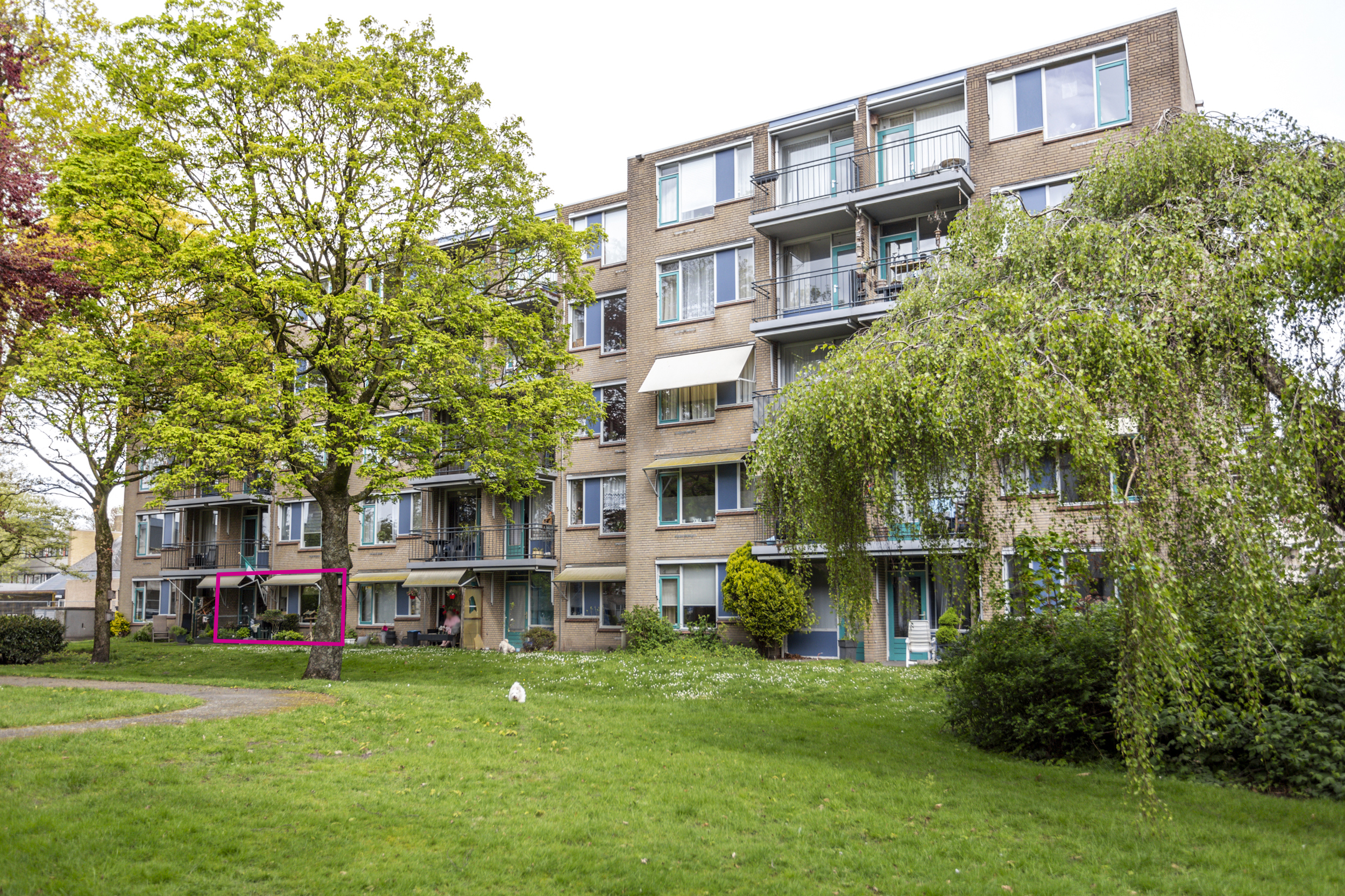 Nieuwe Heilaarstraat 122, 4813 AT Breda, Nederland
