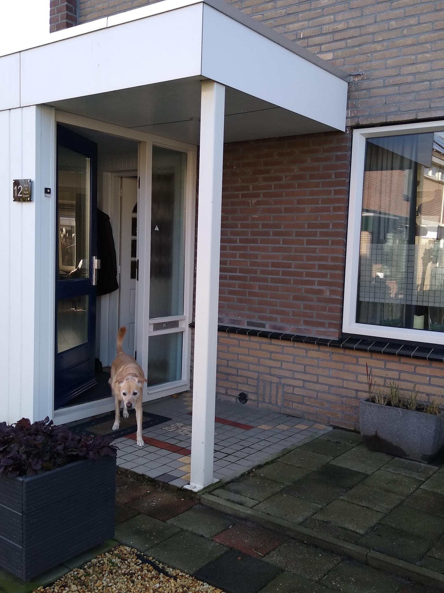 Rollaaf 12, 4761 HR Zevenbergen, Nederland