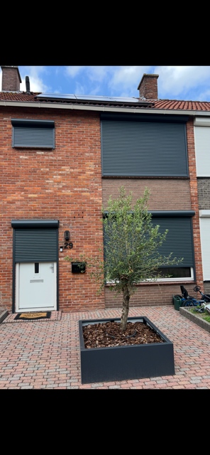 Kardinaal Frankenbergstraat 29