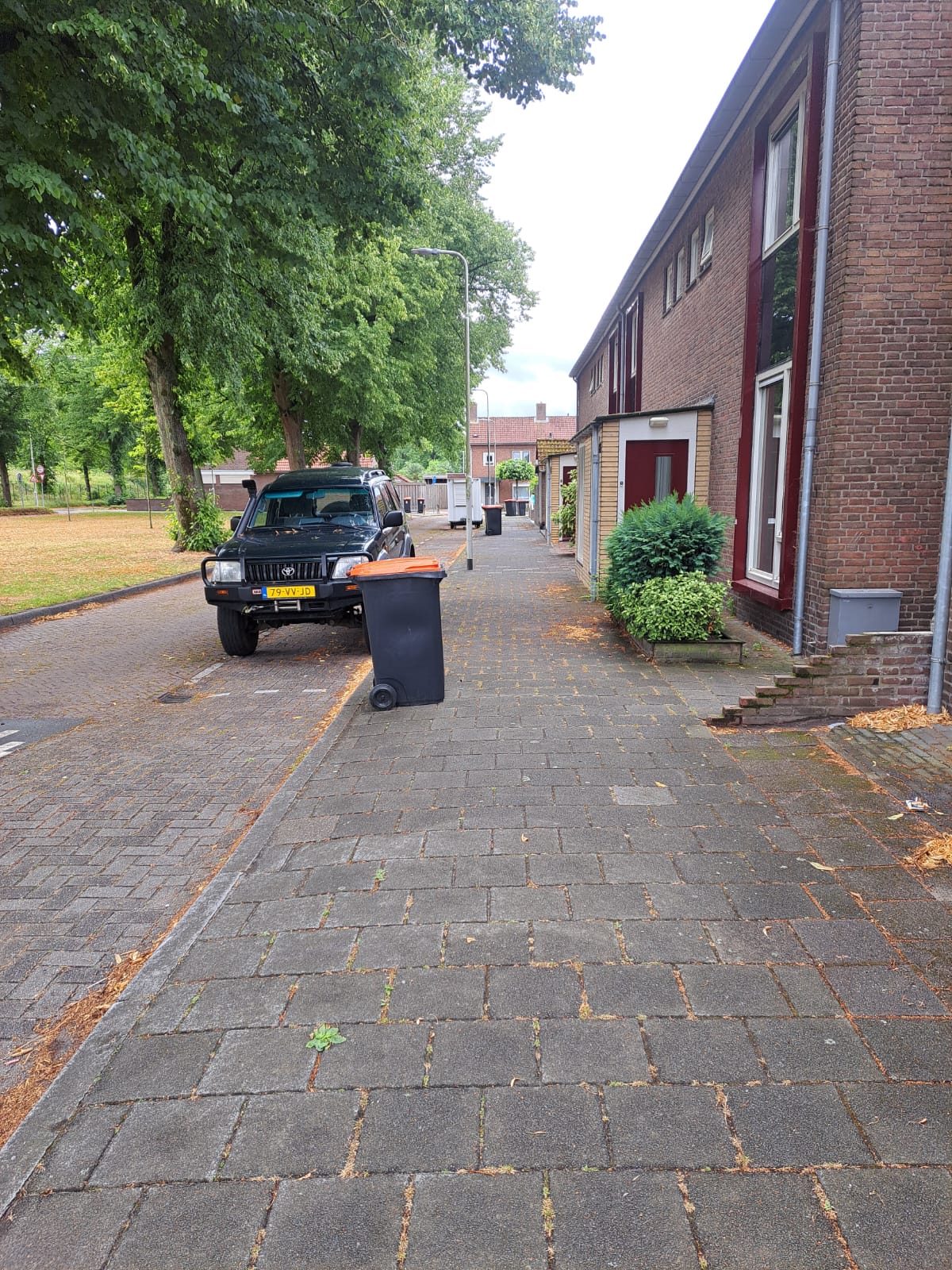 Zwaanhoefstraat 19