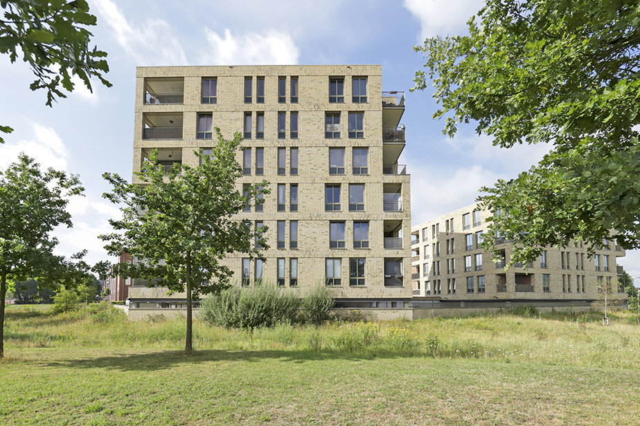 Hamerbijl 82