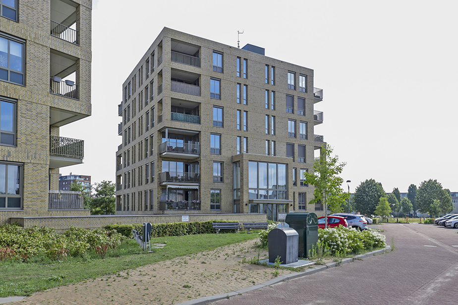Hamerbijl 82