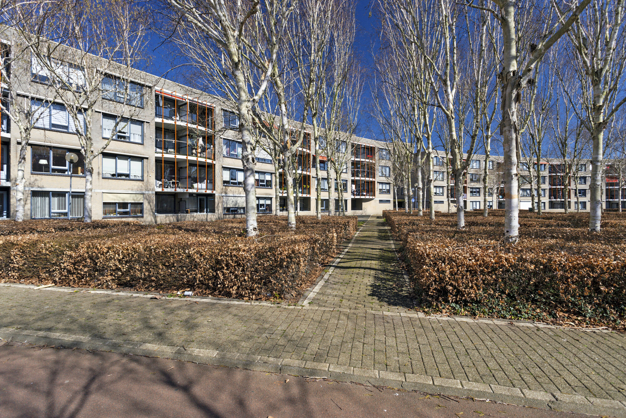David 't Kindtstraat 91