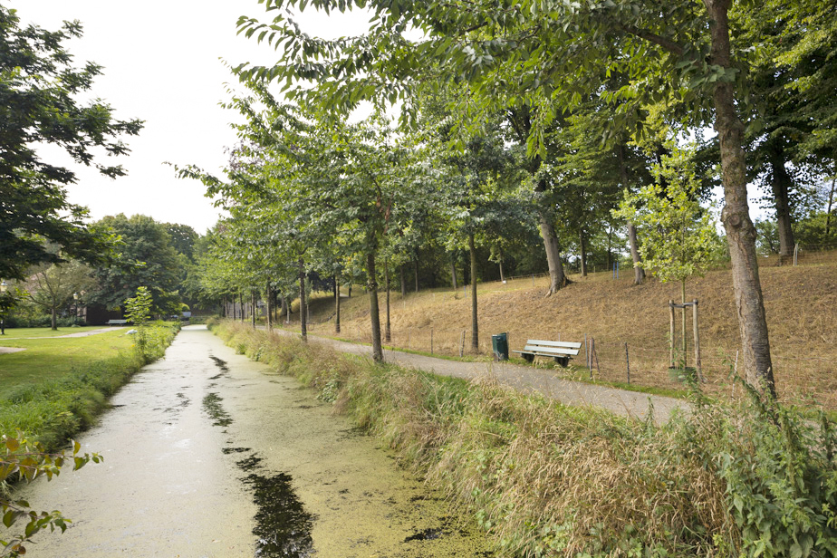 Willem de Zwijgerstraat 10