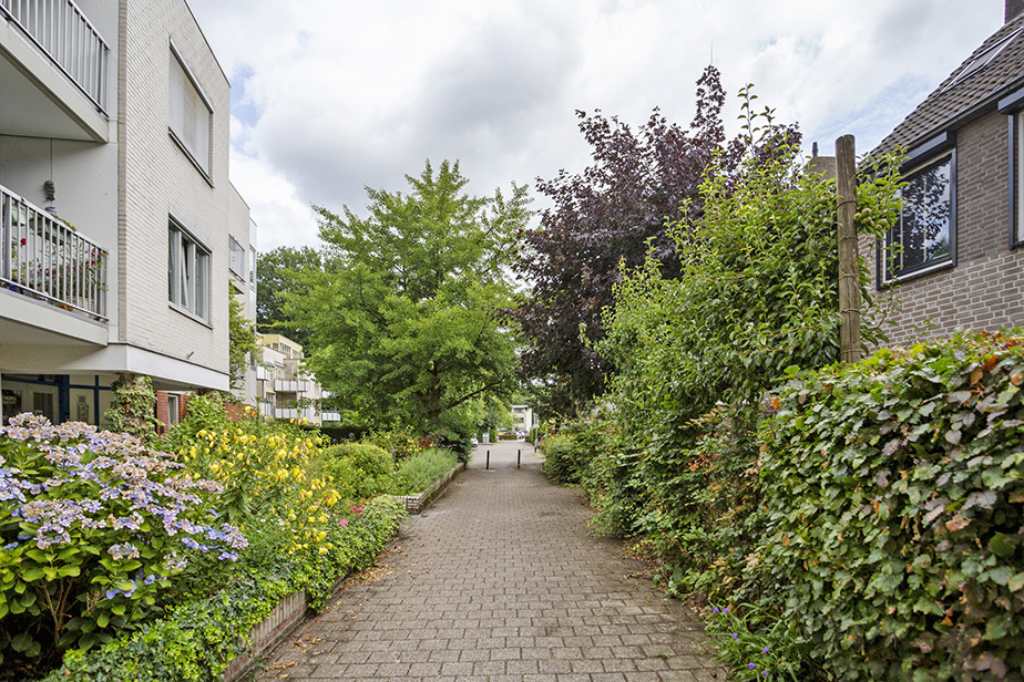 Madame Curieplein 84