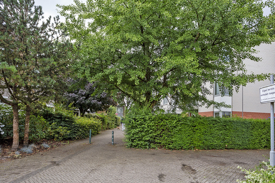 Madame Curieplein 84