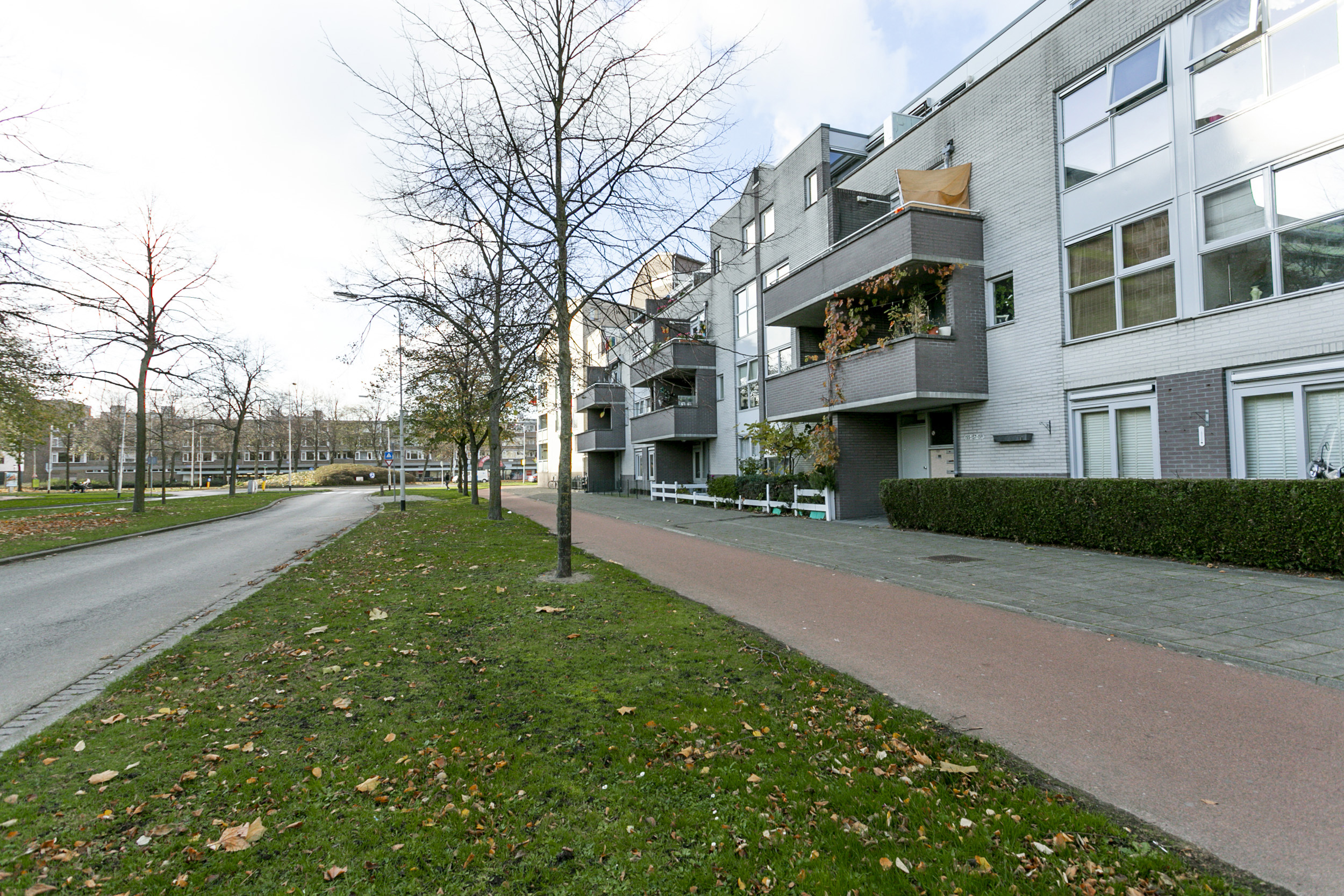 Cornelis Joosstraat 111, 4827 LS Breda, Nederland