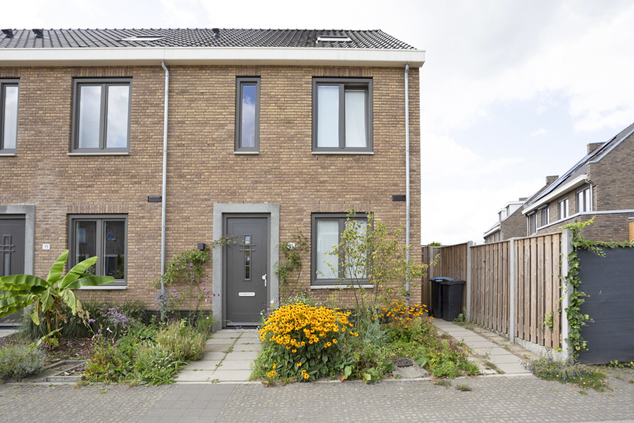 Moerbei , 4881 Zundert, Nederland