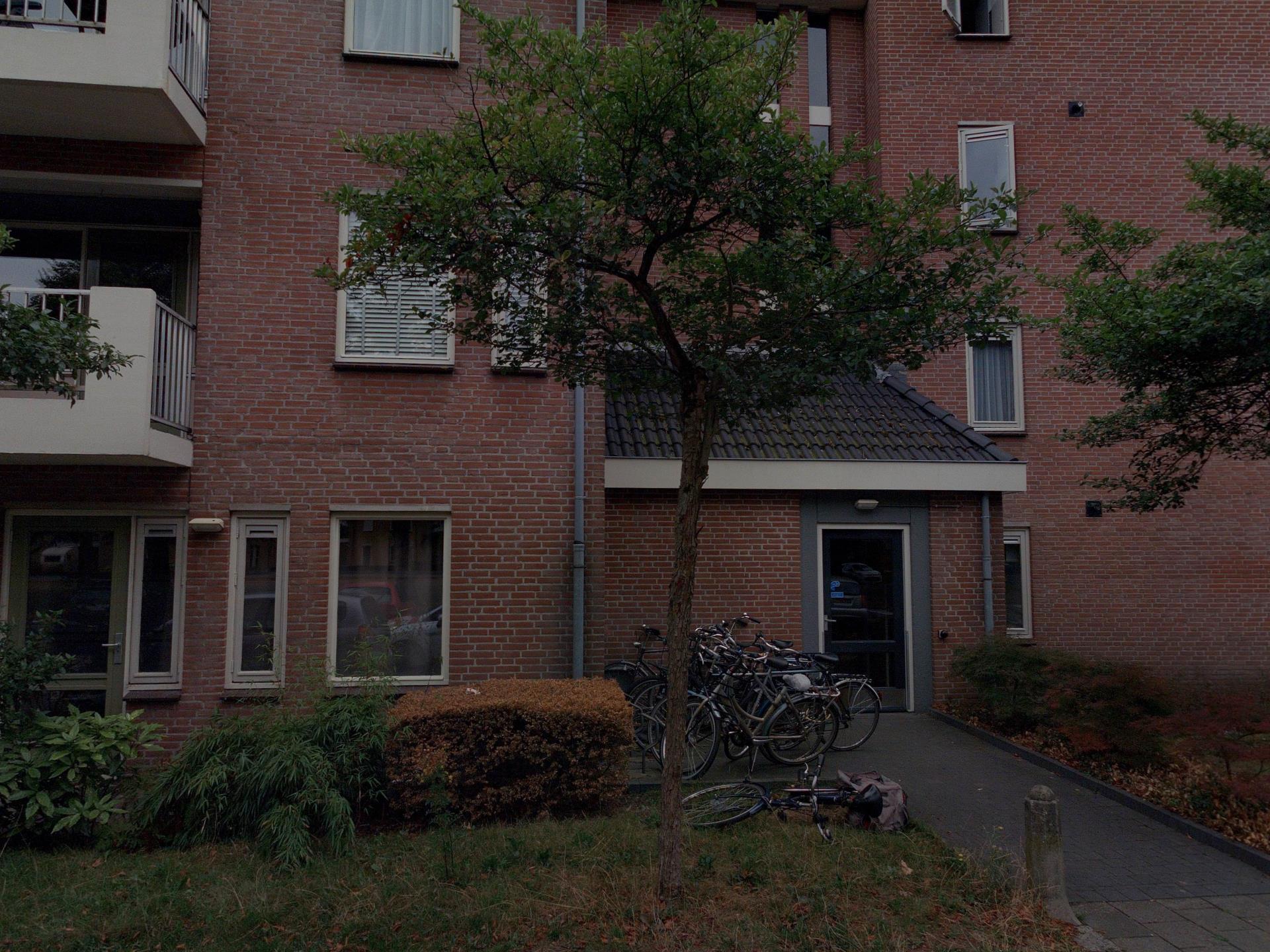 Polderzicht 21, 4847 RT Teteringen, Nederland