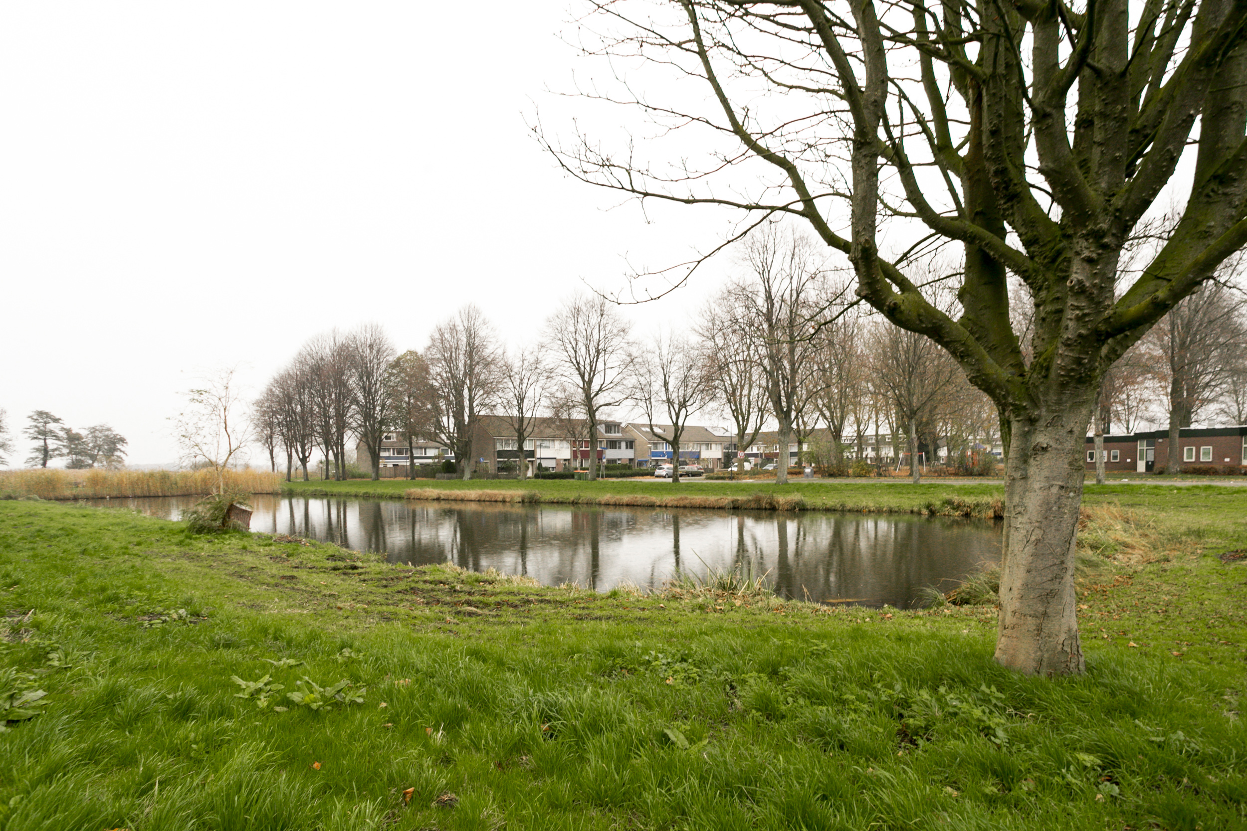 Wensel Cobergherstraat 515