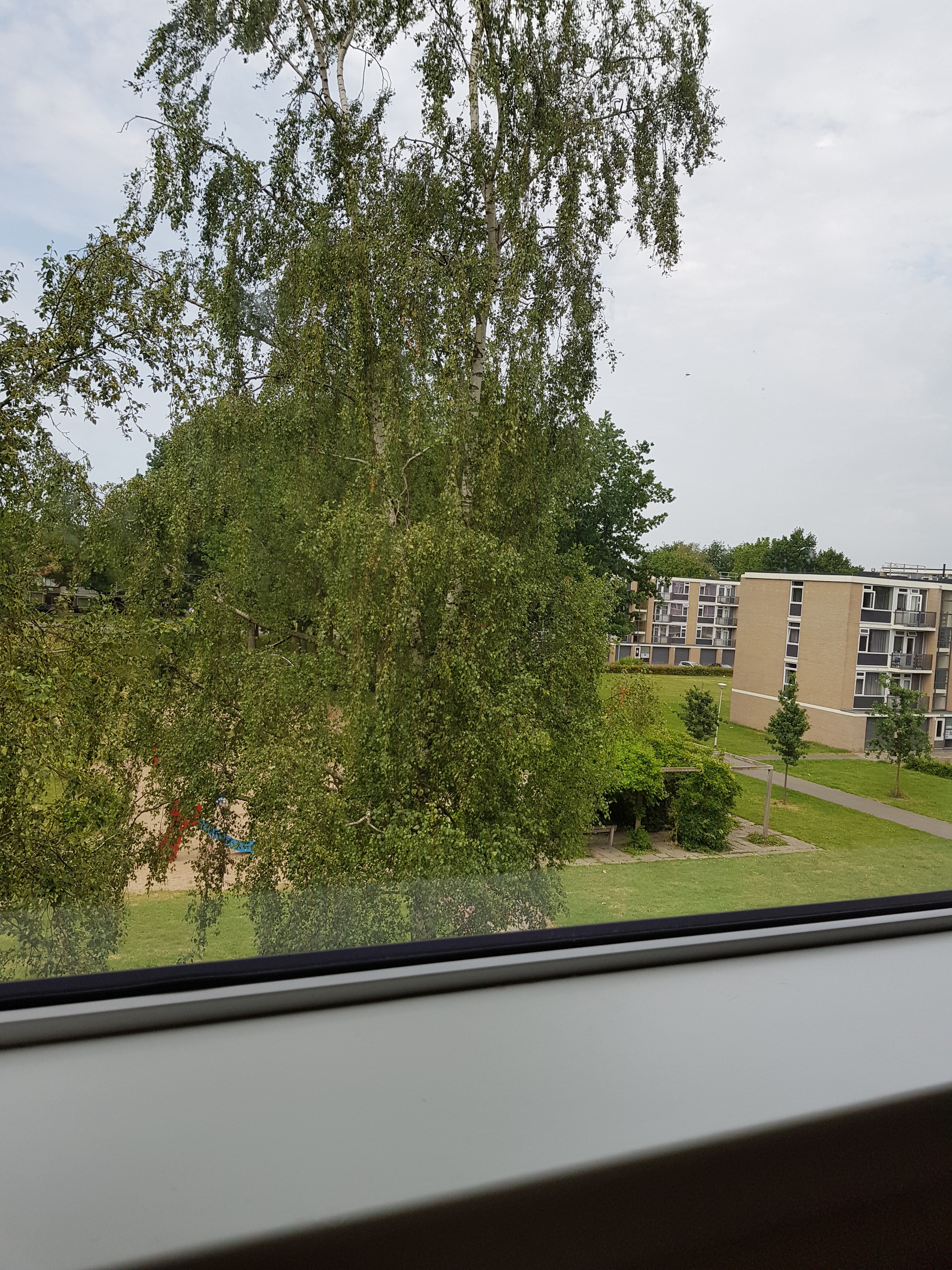 Epelenberg 127B, 4817 CD Breda, Nederland