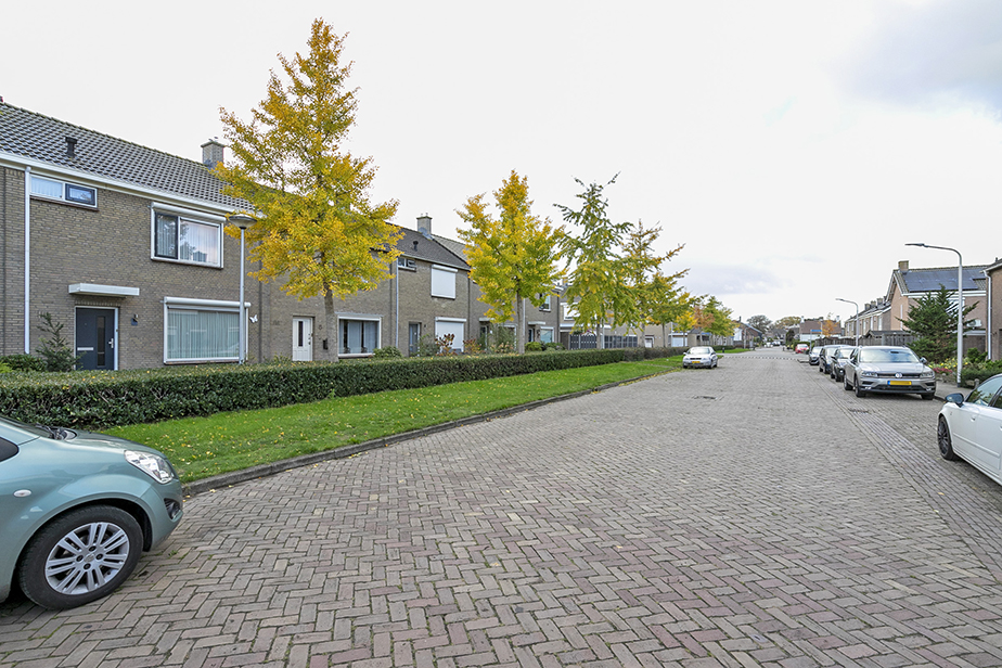 Nicolaas Maesstraat 14