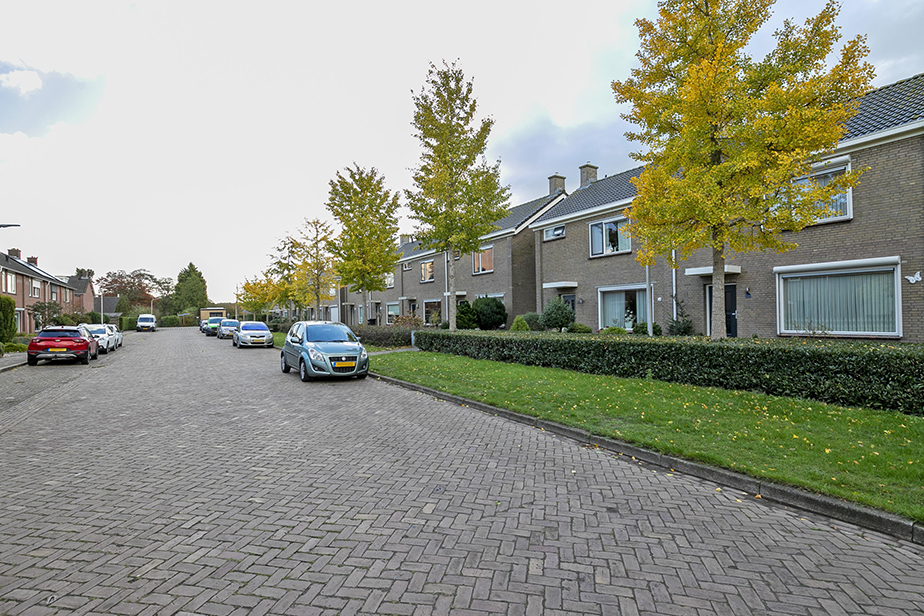 Nicolaas Maesstraat 14